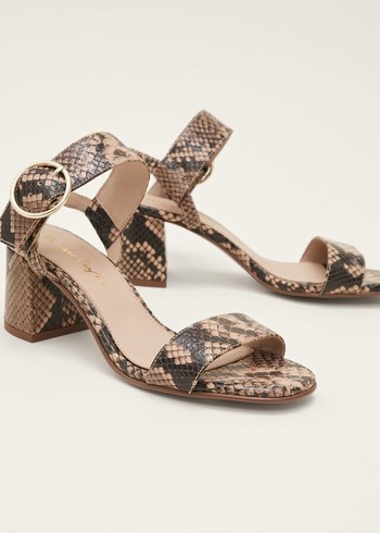 Phase Eight Snake Skin Leather Buckle Heels Snake Canada | WVKCFD-950